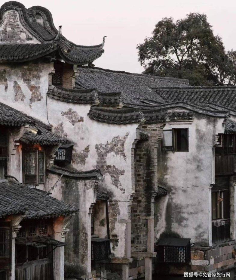 都匀市多端发力推动茶产业高质量发展